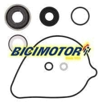 KIT W REP. BOMBA ÁGUA 821943 HON TRX420 FE/FM 07/17; TRX420 TE/TM 07/16