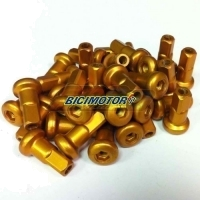 CABEÇAS RAIOS SMP 4.00 MM X 7.60MM 8G (KIT 40) ALUMINIO GLOSS GOLD