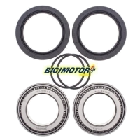 KIT ROLAMENTO RODA TRAS 25-1507